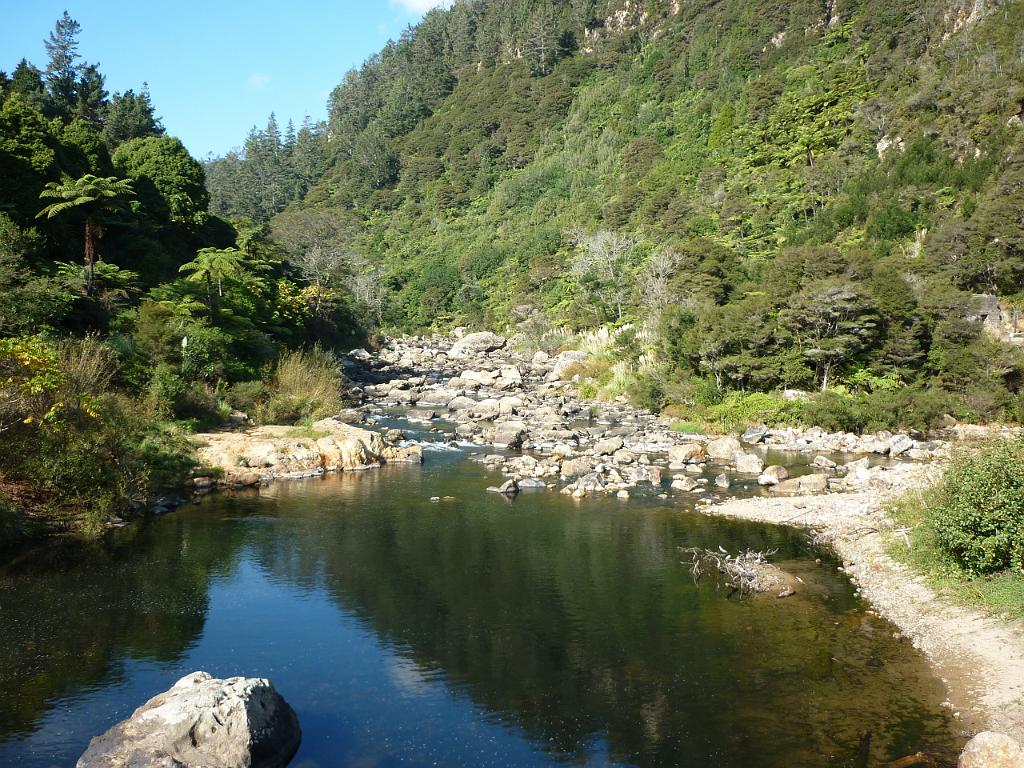 New_Zealand (1015).JPG